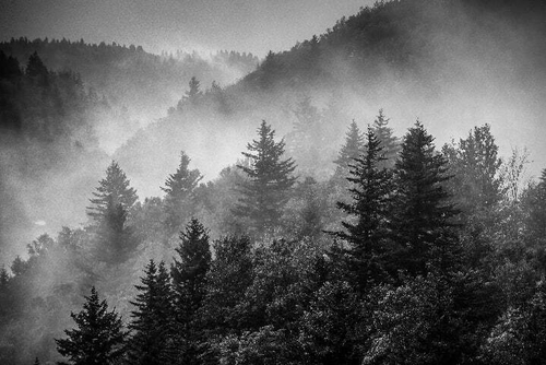 Дизайнерские №236 Фотообои и Фрески