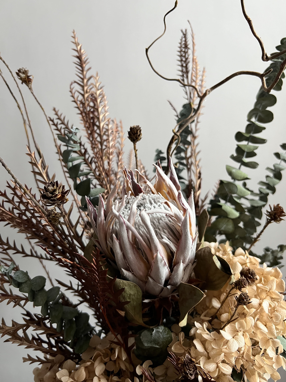 Композиция в кашпо Цинародиес