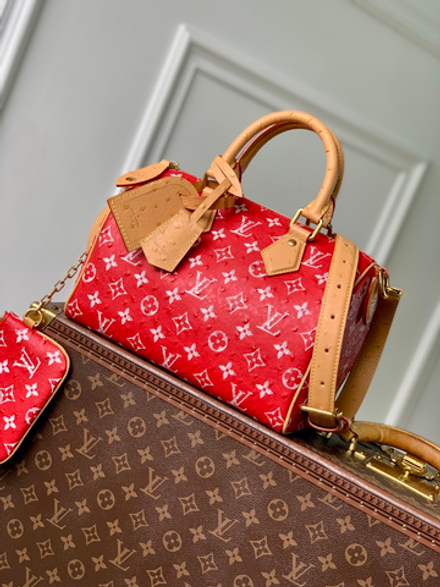 Louis Vuitton Speedy P9 Bandouliere 25