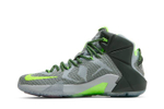 Кроссовки Nike Lebron 12 Dunk Force 12