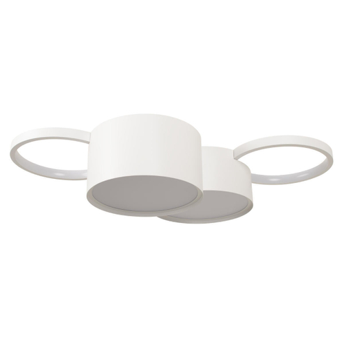 Потолочный светодиодный светильник Loft It Pin  10317/4 White