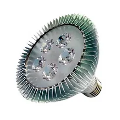 SHOWLIGHT Lamp PAR30 LED5W
