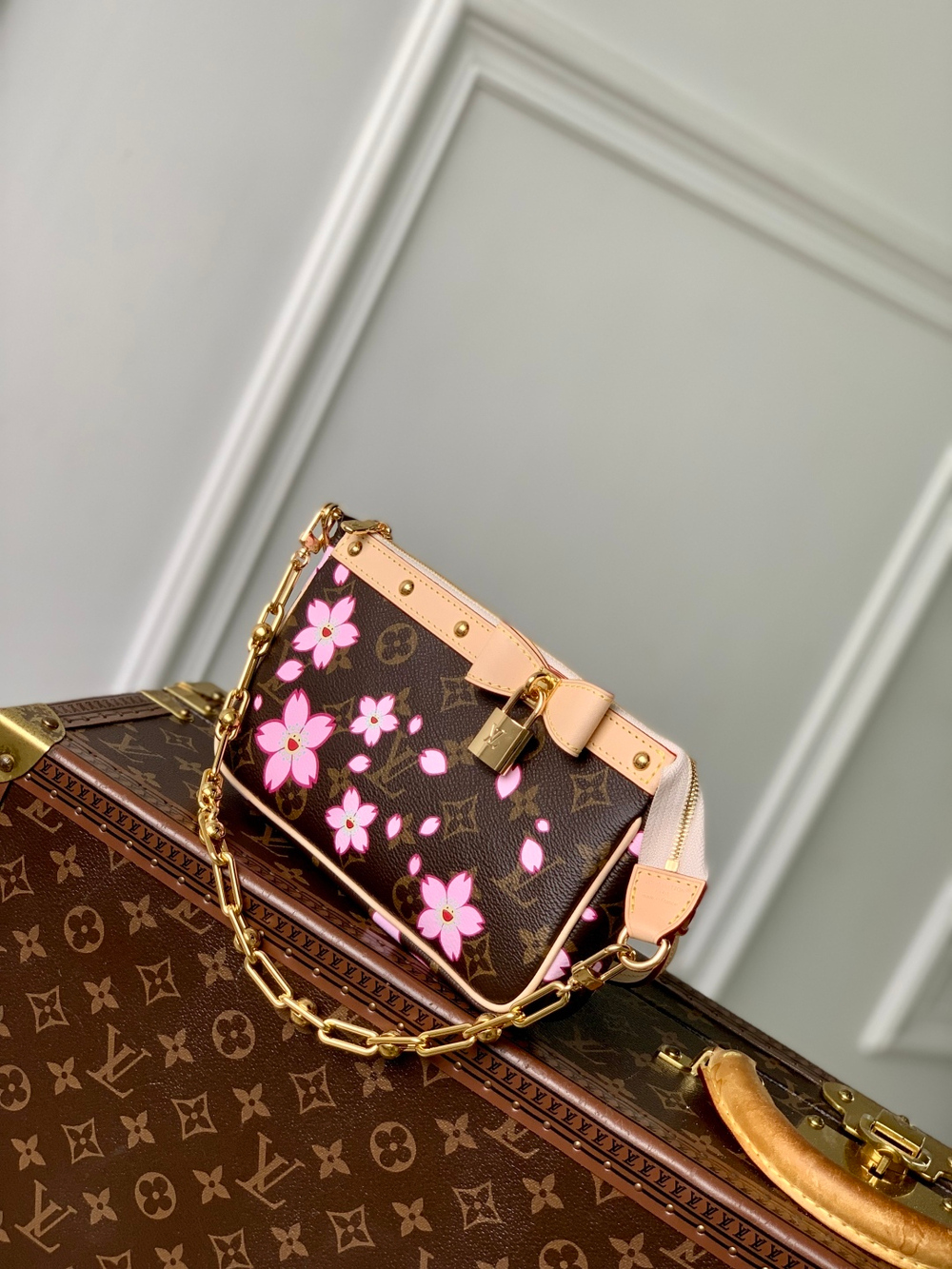 Louis Vuitton Pochette Accessoires