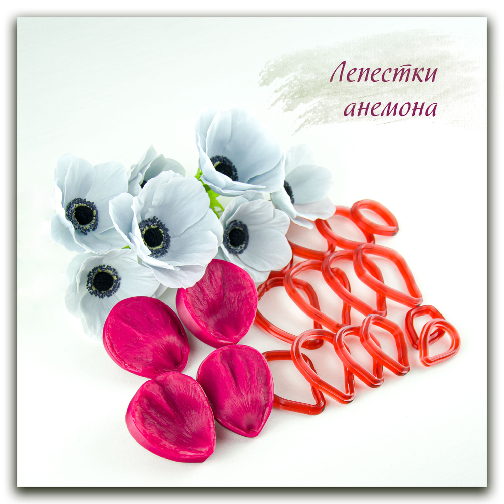 Лепестки анемона