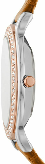 Наручные часы Fossil ES4954