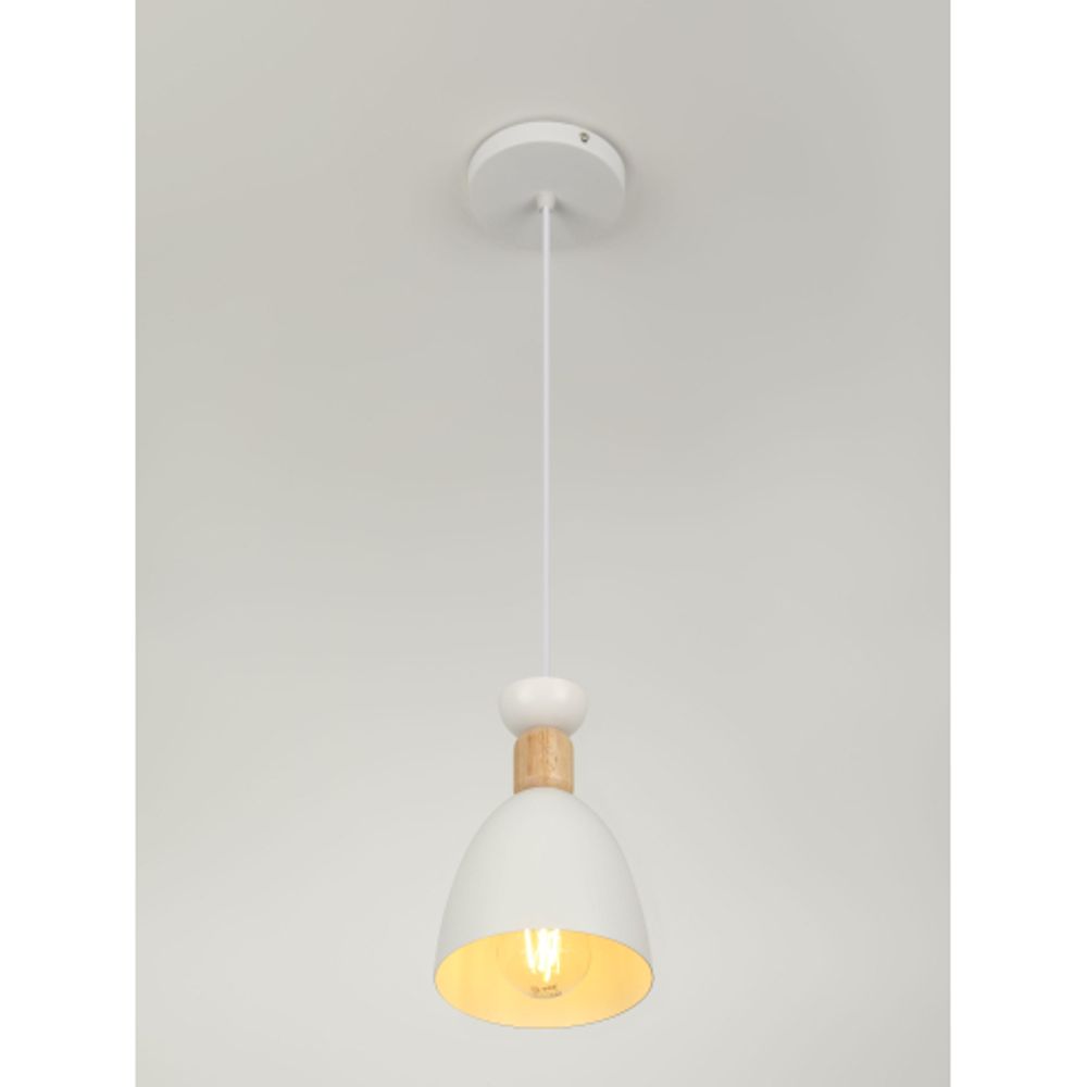 Светильник подвесной (подвес) Rivoli Catherine 5109-201 1хЕ27 60 Вт лофт-кантри | Rivoli