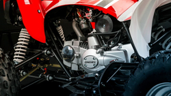 Квадроцикл MOTOLAND 250S