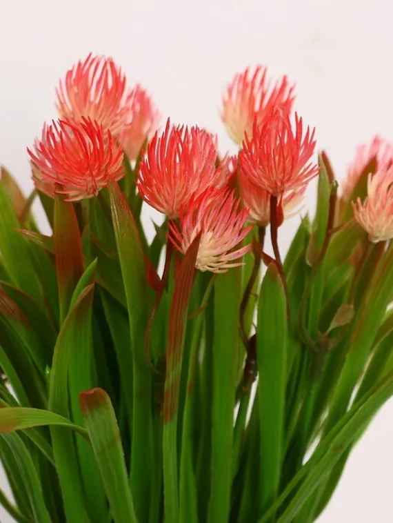 Бонсай в горшке &quot;Эхмея с травой&quot; 9*19 см, микс