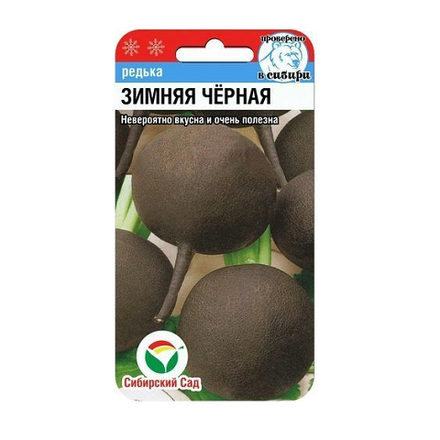 Зимняя черная 1гр редька (Сиб сад)
