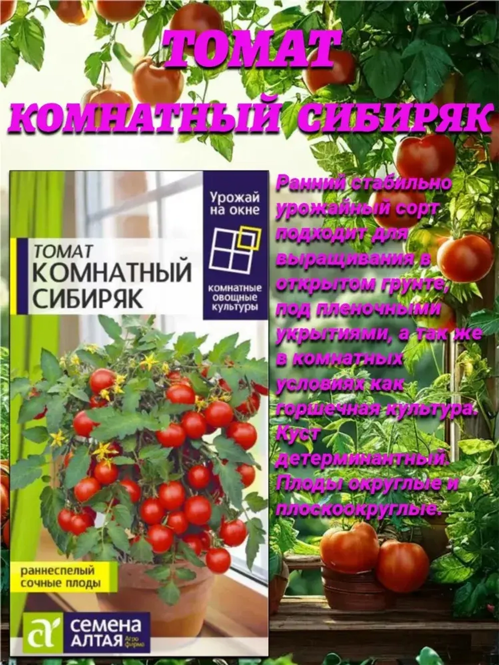 Урожай на окне от Семена Алтая: огурец Городской огурчик + томаты Золотце и Комнатный сибиряк