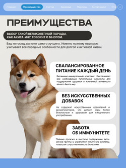 Корм для взрослых собак породы Акита-ину, с лососем, 12 кг, QUATTRO