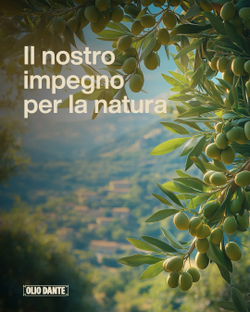 Оливковое масло Lupi 100% Italiano Extra Virgin от Dante, 750 мл, Италия