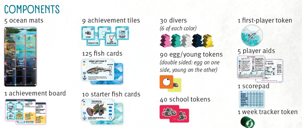 Finspan на английском языке.