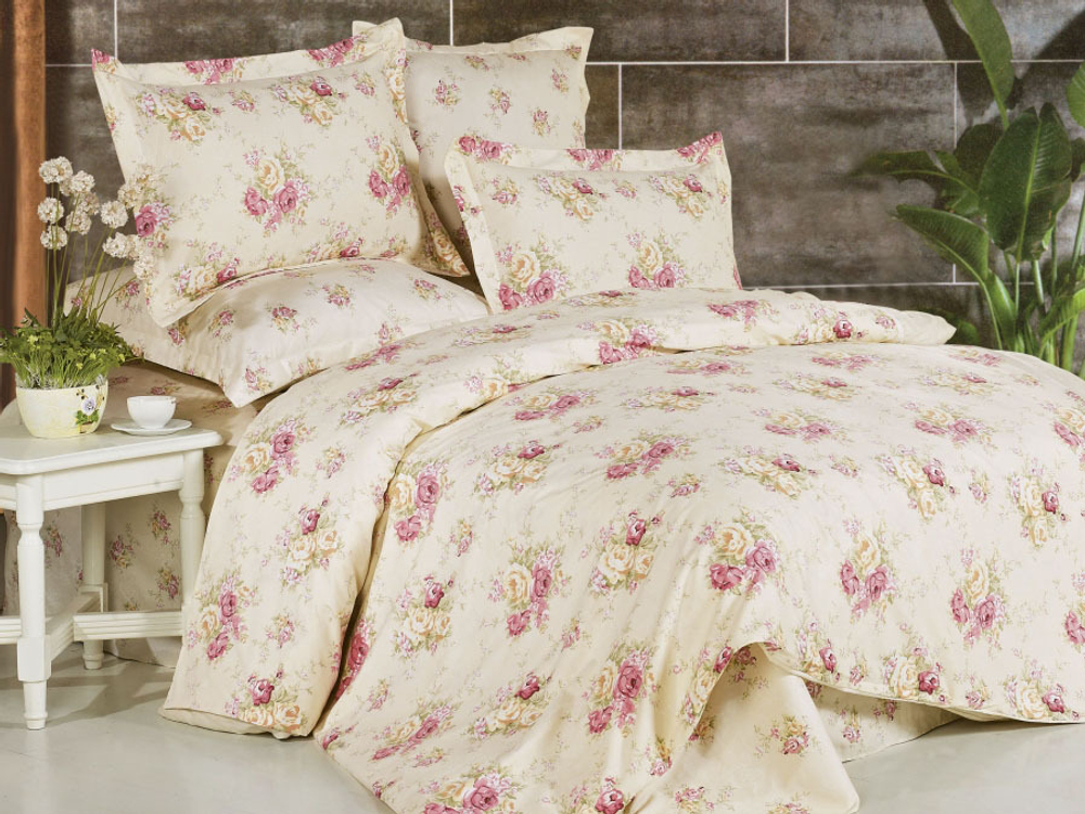 Постельное белье СайлиД B-117 сатин