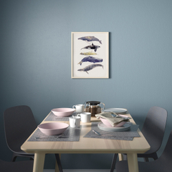 IKEA BILD  (ИКЕА БИЛД)  -  Плакат, Музыка китов, 40x50 см