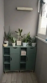 Эко Краска DECOR для мебели, декора и деревянных поверхностей, цвет Сеньорита петрушка