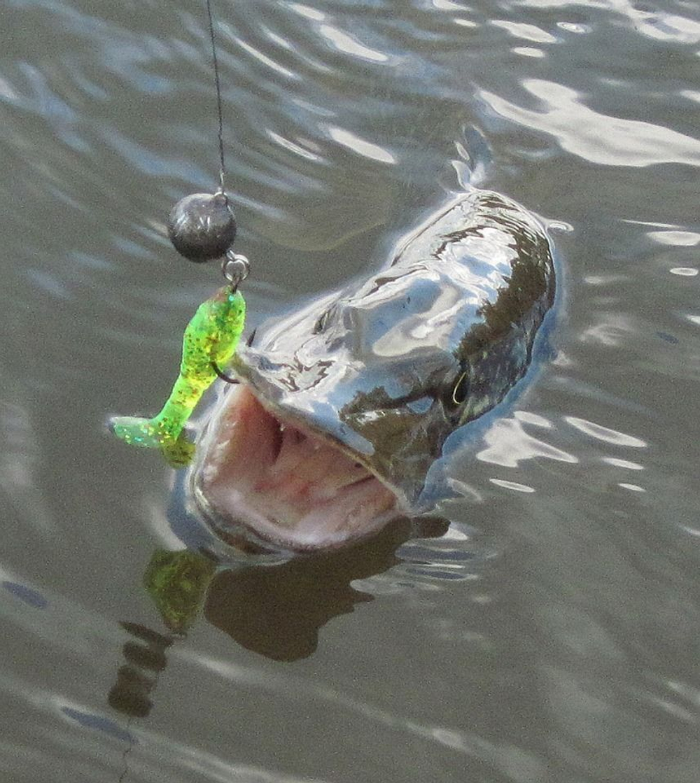 Мягкая силиконовая приманка риппер RELAX KOPYTO HEADS 3, 7,5cm 7,1g цвет H002 (White, Red-silver Glitter, Head) 1 уп. по 20 шт. Товар уцененный