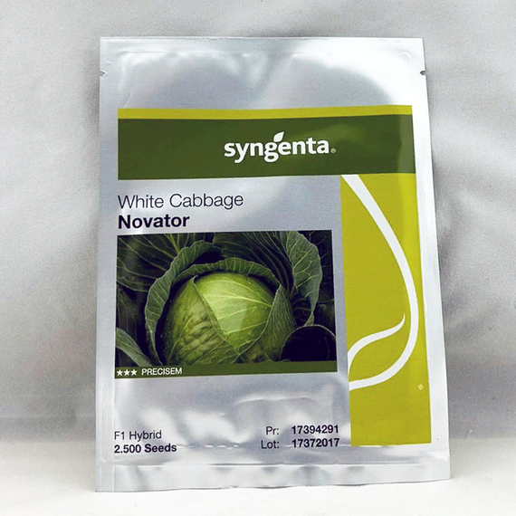 Новатор F1 семена капусты белокочанной (Syngenta / Сингента) – фото 2