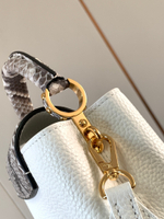 Louis Vuitton Capucines Mini
