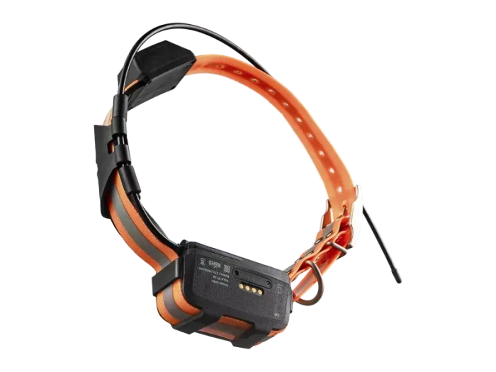 GPS ошейник Artelv Tracker 2W с базовой станцией (AT2W)