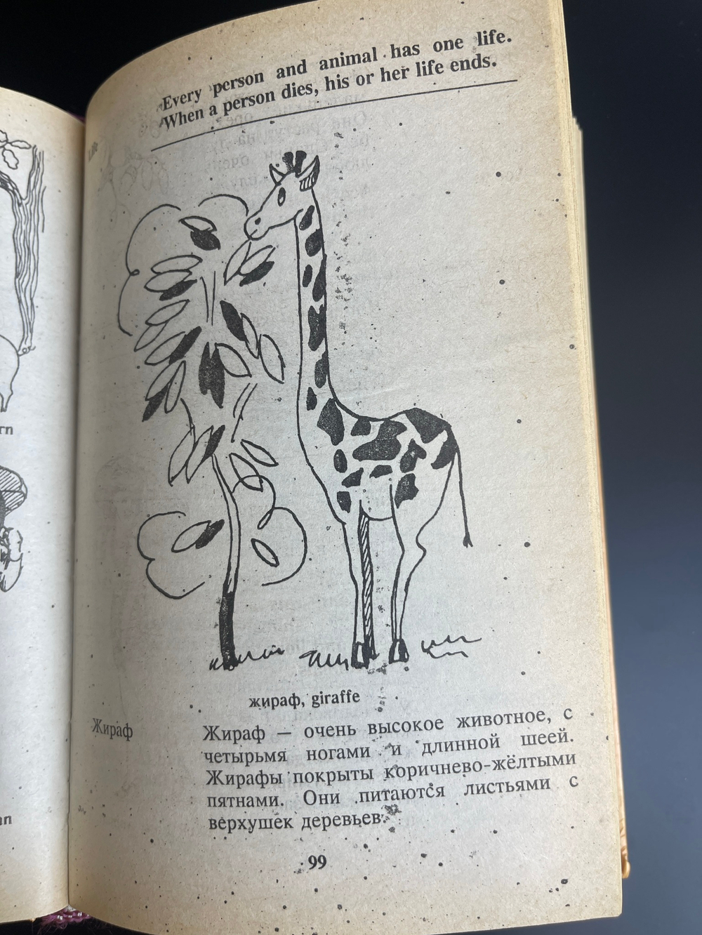 Книга детский русско- английский словарь в картинках, более 1000 слов, их значений и способов употреболения, Москва