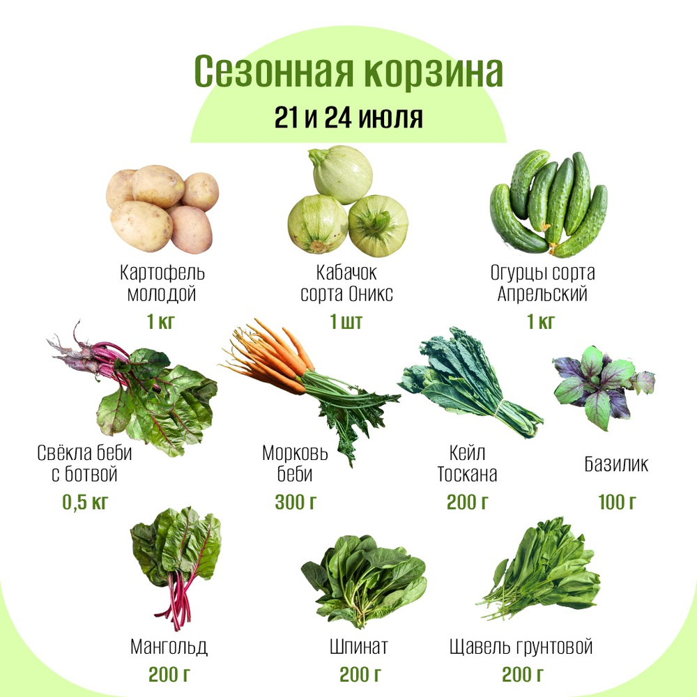 Сезонная корзина