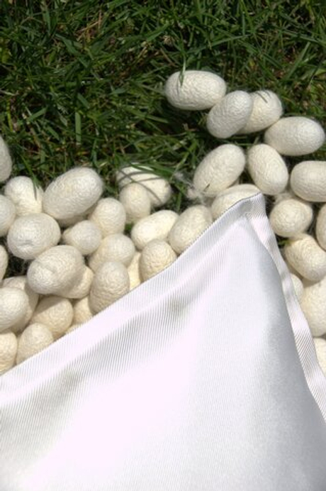 Наволочка 50х80 Silkow Venezia белая skv-s29