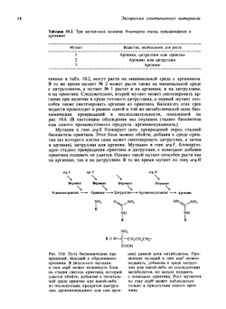 Современная генетика. Том 2 | Ф. Айала; Д. Кайгер