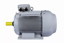 Электродвигатель ESQ PR 280 S4-SDN-Б1-S12-IE2 75/1500 IMB3