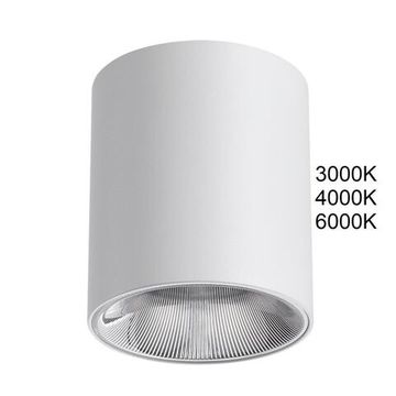 7139/12CL HIGHTECH ODL26 Потолочный светильник белый/металл IP20 LED 12W 960Лм 3000K/4000K/6000K  36° 220-240V BRIM
