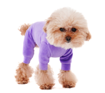 004 Костюм (ВЕЛЮРОВЫЙ) с высоким воротом "Angel Monsters Velour Highneck" Puppy Angel