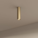 Накладной светильник Denkirs Tube DK2052-SG