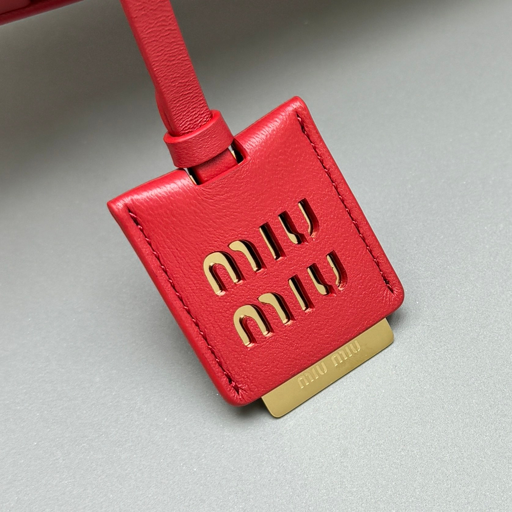 Miu Miu Arcadie Bag 22 cm