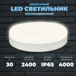 Светильник герметичный настенно-потолочный КРУГ 30Вт, со степенью защиты IP65. Цветовая температура 4000К. Размер 220х50