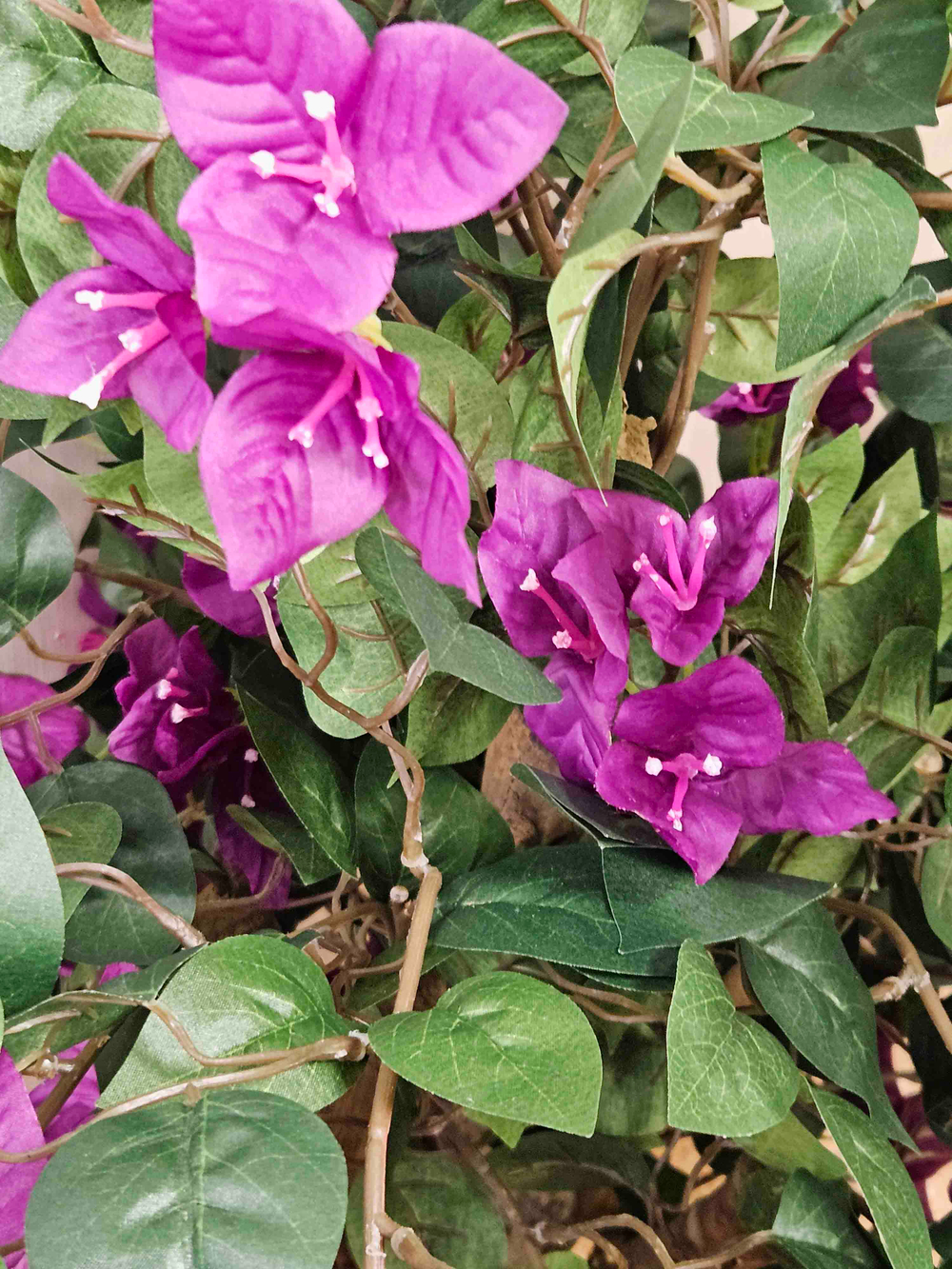 Искусственная Бугенвиллия 110см в кашпо