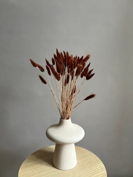 Лагурус коричневый