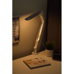 Настольный светильник ЭРА NLED-496-12W-S светодиодный на струбцине серебро