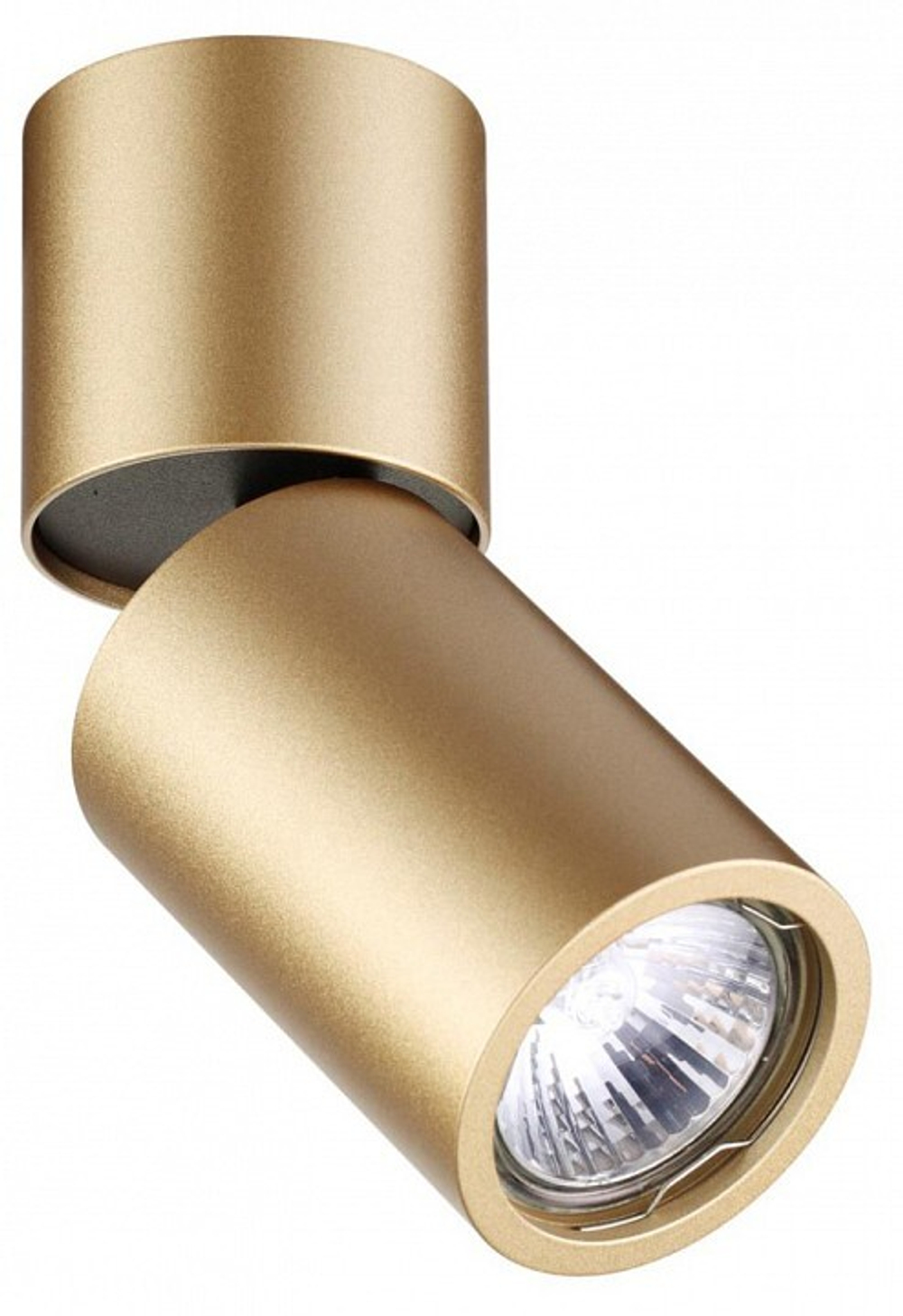 Накладной светильник Odeon Light 3895/1C