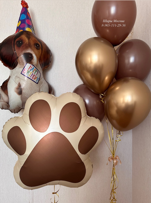 Щенок в колпаке happy birthday с лапкой и шоколадно-золотыми шарами