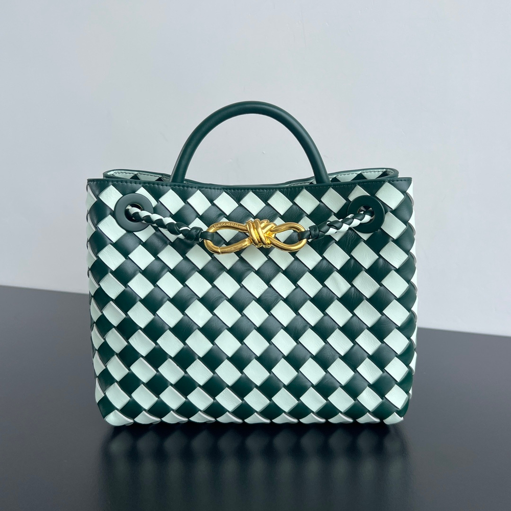 Bottega Veneta Small Andiamo 25 cm