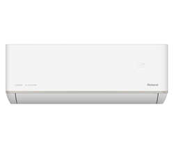 Roland RDI-WZ09HSS/N2