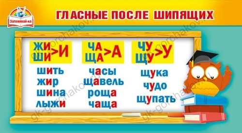 Карточка шпаргалка 080.625 Карточка-шпаргалка "Гласные после шипящих/Правописание согласных" И 46032