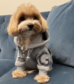 Пушистые хвостики Худи "G" GREY