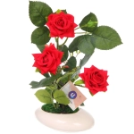 Цветочная композиция «Розовый восторг» 25см в горшке, цвет красный