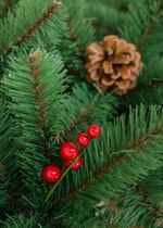 Елка с шишками и ягодами «Новогодняя сказка» (пвх) 240 см / 2.4 м