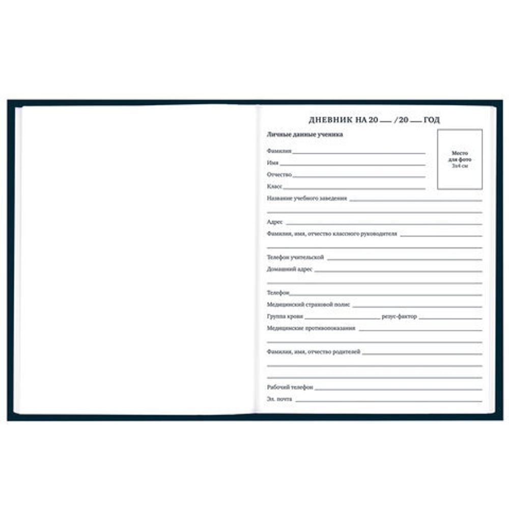 Дневник 1-11 класс 40 л., твердый, BRAUBERG, матовая ламинация, "Dragon", 107178