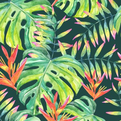 Лето пальмы тропический цветы