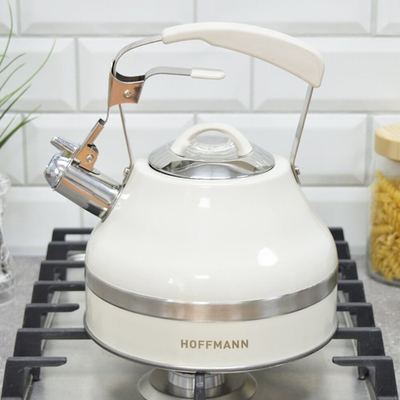 Чайник 3л со свистком, матовый, с бежевой ручкой, НМ 55234