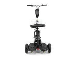 Трицикл WELLNESS EASY 350w