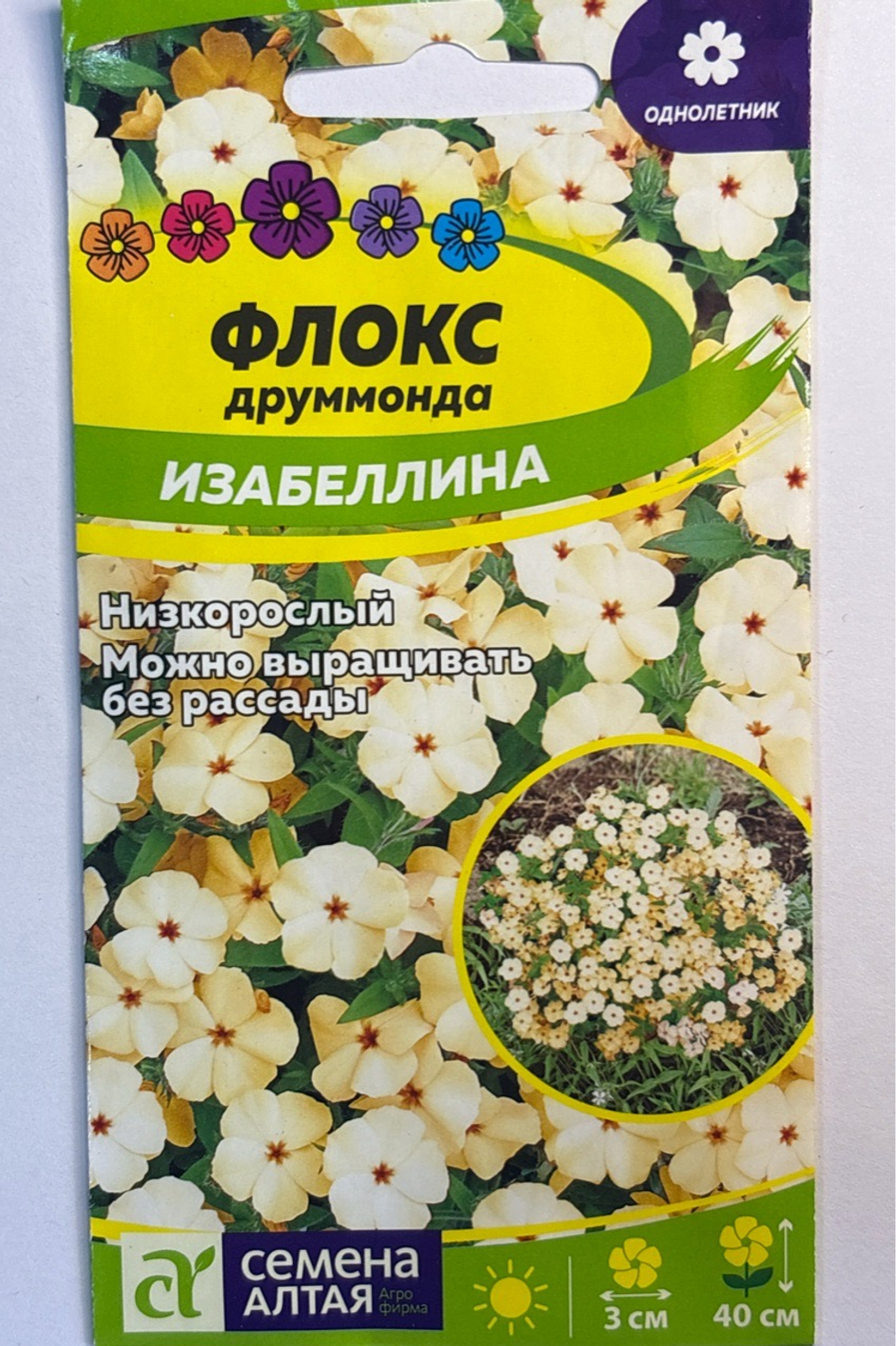 Флокс Друммонда Изабеллина 0,1 г СМЦ-273